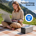portable generator 300W