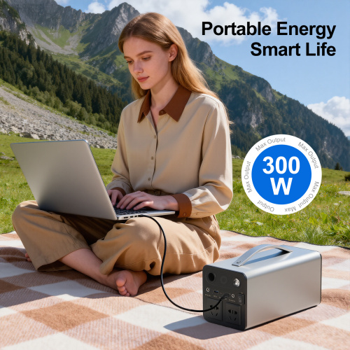 portable generator 300W