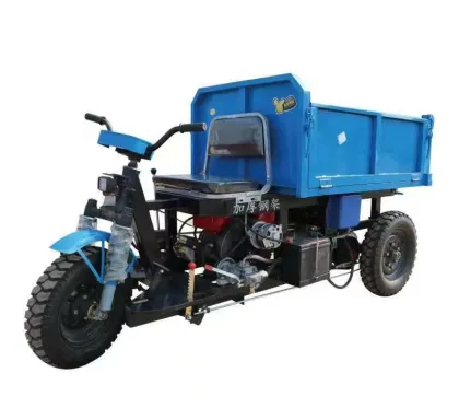 Electric Tricycle Agricultural Tricycle Turkey Bike Cargo Scooter 3 Wheel