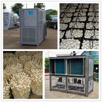 white mushroom cultivation machine combine with CO2 control, humidity heating and cooling systems