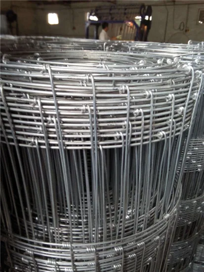 hot-dip galvanized field fence kraal network