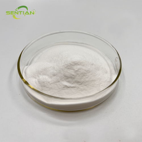 Premium Bovine Collagen Extract for Nutraceutical Use