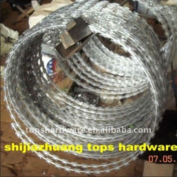 razor barbed wire art