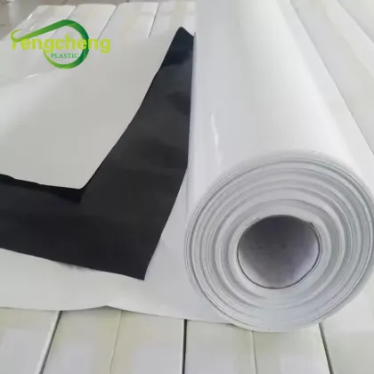 Hydroponics Black White Plastic Greenhouse Cover