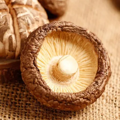 Dried Mushroom Shiitake Fungus