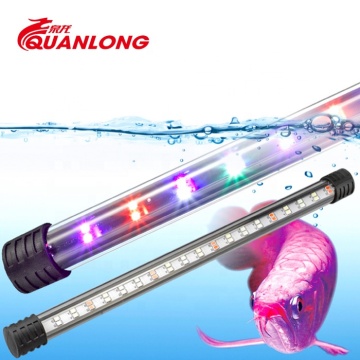 Quanlong WRGB T4 LED LED AQUARIUM Light per serbatoi di pesce Arowana