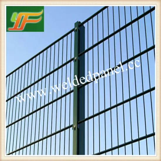 Twin Wire 868/656 Fencing Mesh Panel /Double Wire Mesh Fence