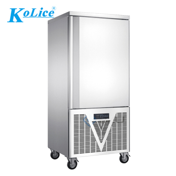 Commercial Blast Freezer and Cold Storage Solutions for Food and IQF Fruits/Vegetables