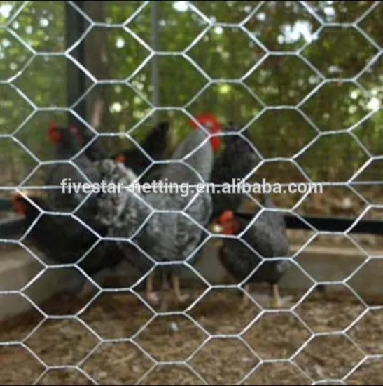 lowest price 1/4 inch hexagonal birdcage netting