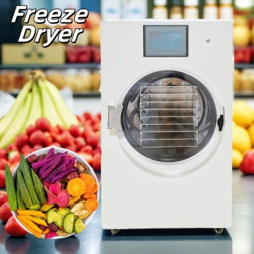 South African Kitchen Food Dehydration Solutions: Vacuum Freeze Dryer Machines Manufacturer