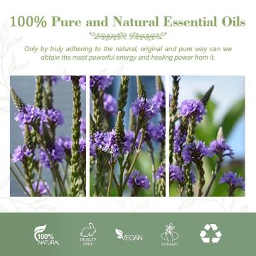 Wholesale 100% Pure Therapeutic Grade Verbena Essential Oil