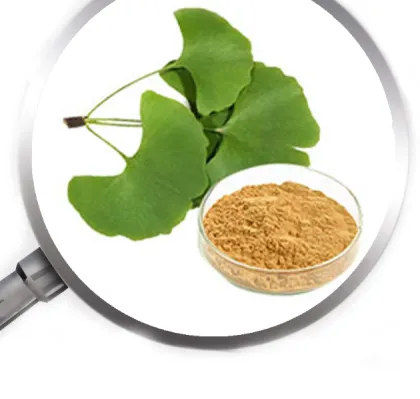 Health ingredient supplement Oat Straw Extract Oat Straw