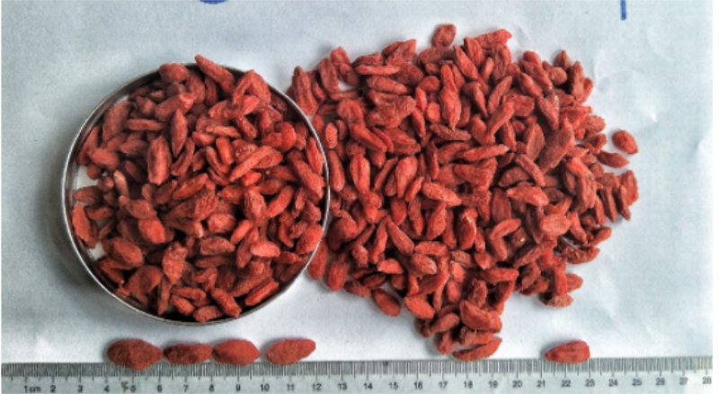 Exportar Ningxia Certified Dried goji berry