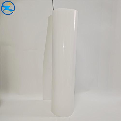 Food Grade PP rigid roll films for Packaging