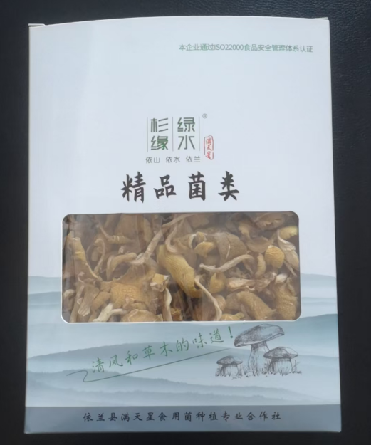 Elm Yellow Mushroom2