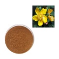 St John&#39;s Wort Extract Powder Hypericin