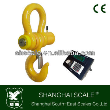 30ton Printing Crane Scale