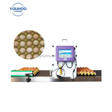 Farm Tray Egg Carton Maker and Printer Machinery: Automated Solutions for Egg Packaging