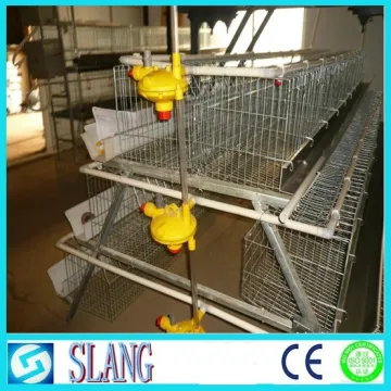 Good factory high quality about the chicken layer battery cage price with chicken layer cage
