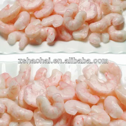 Sea foods shrimp