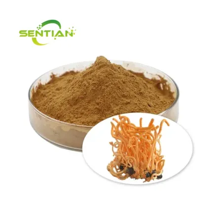 Cordyceps Militaris Extract 1% 98% Cordycepin Powder