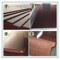 Black/Brown Film Faced Construction Plywood for building