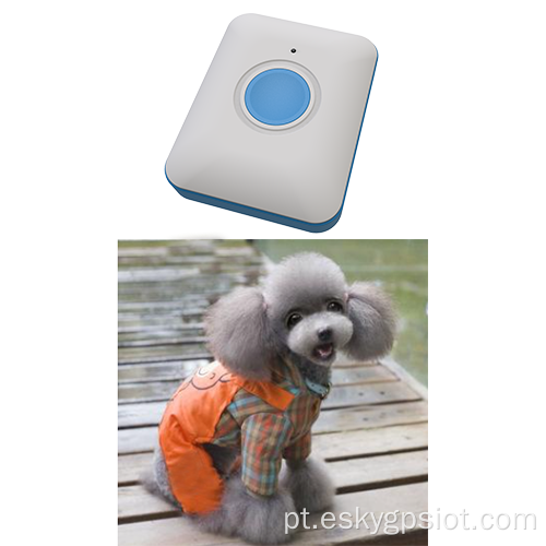 Mini rastreador GPS sem fio para animais de estimação