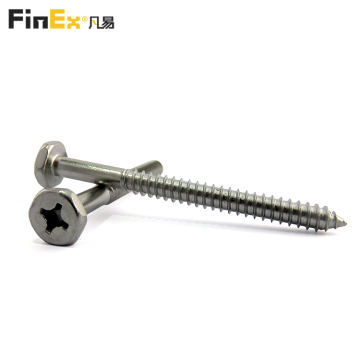 67mm SS304 Phillips Hex Head Self Tapping Screws