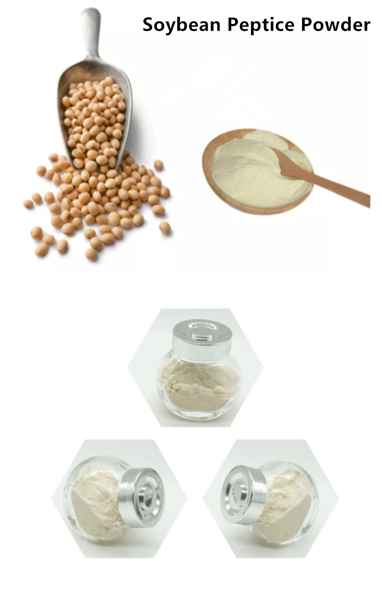 Soybean Peptide Powder 1