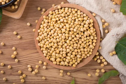 100% natural soybean extract/soy isoflavones