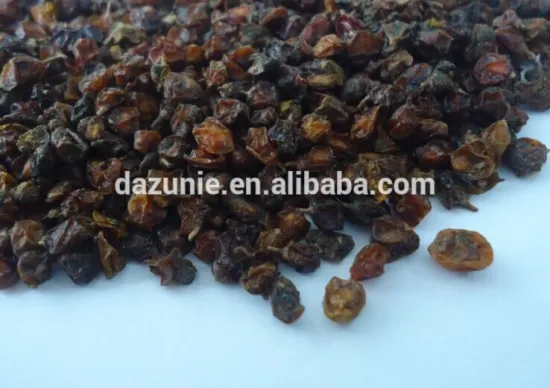 Dried Sea Buckthorn Fruit