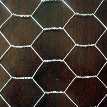 SS Hexagonal Wire Mesh