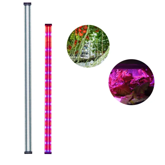 Wholesale IP65 39W 2FT Full Spectrum Indoor Grow Pineapple LED Grow Lights