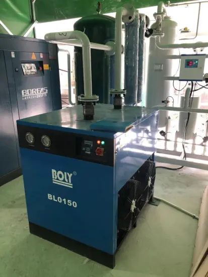 Skid-mounted 120Nm3 PSA nitrogen Generator