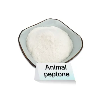 Peptone for Animal Health: Enhancing Diet with Collagen Peptone