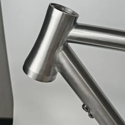 Titanium road bike frame disc brakes