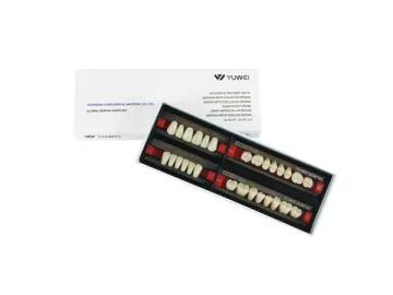 Dental Synthetic Polymer False Teeth for Full Mouth