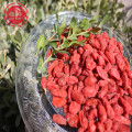 Goji berry/ Wolfberry /Hot sale goji berry