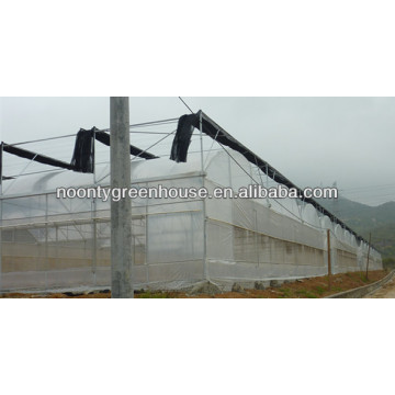 agricultural greenhouses for tomatoes