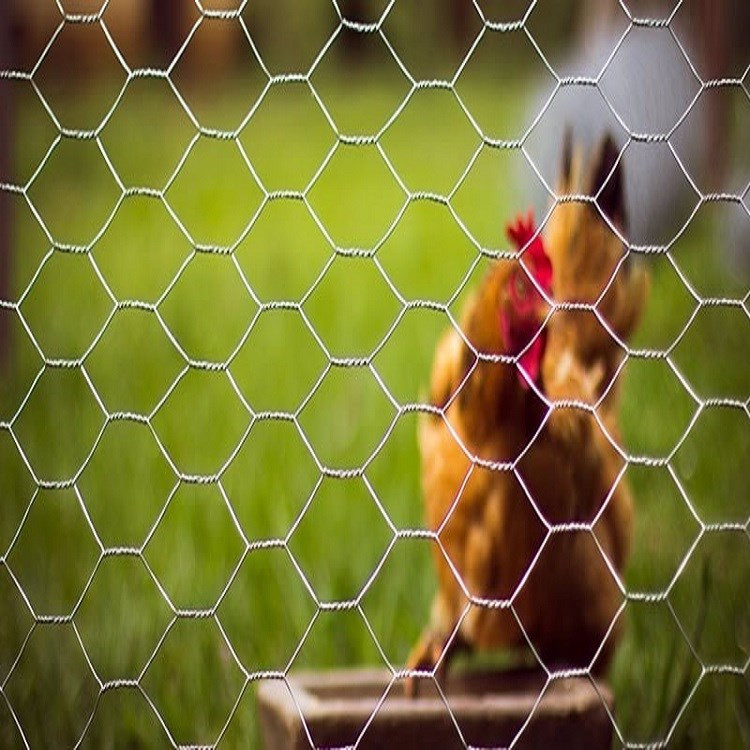 stainless steel 304 hexagonal chicken wire mesh