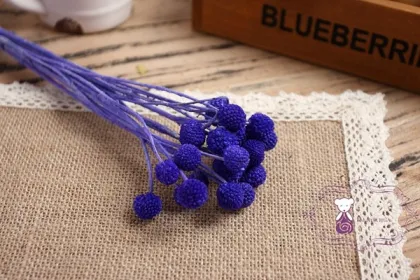 Real natural preserved golden ball flower