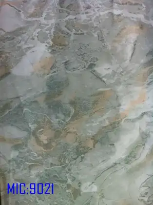 Lynx Stone