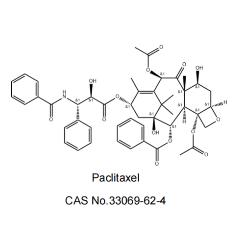 Paclitaxel API אבקת CAS 33069-62-4