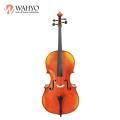 High quality dry maple  cello