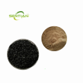 Healthy Leek Seed Extract Powder