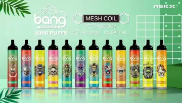 Bang Disposable Vape 6000puff Fruit Flavors E-Cigarette
