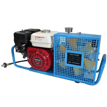 Industrial and Specialty Air Compressors: Gasoline, Firefighting, Scuba Diving, Tire, and Paint