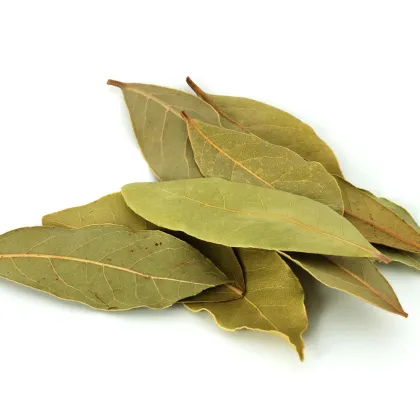 Wholesale Dry Bay Leaf and Dried Laurel Leaves Seasoning Supplier