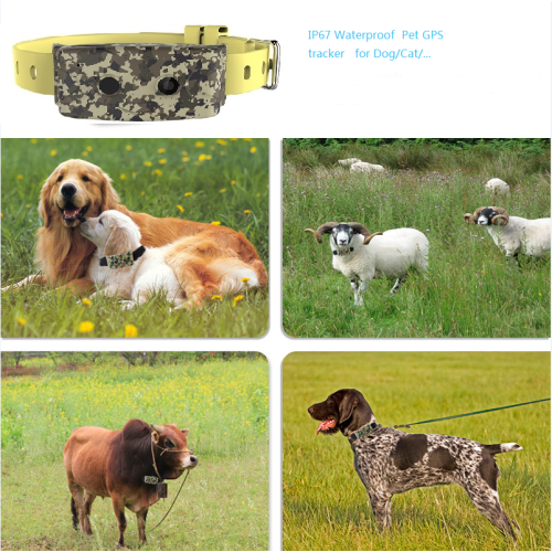 Waterproof GPS Pet Tracker 3G WCDMA