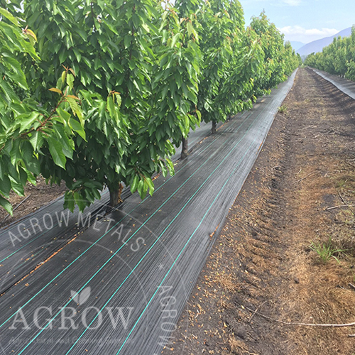 Alfombrilla de control de malezas para agricultura y jardín